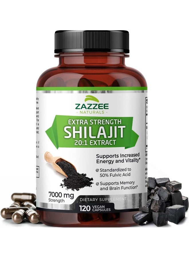 Shilajit Extract Fulvic Acid, 120 Capsules
