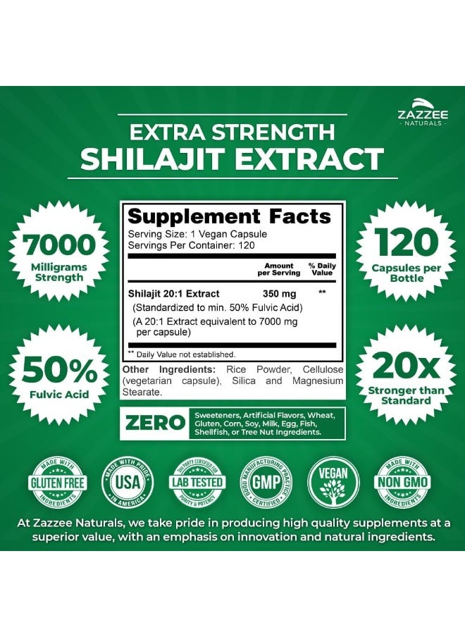 Shilajit Extract Fulvic Acid, 120 Capsules