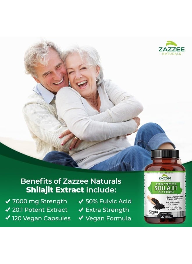 Shilajit Extract Fulvic Acid, 120 Capsules