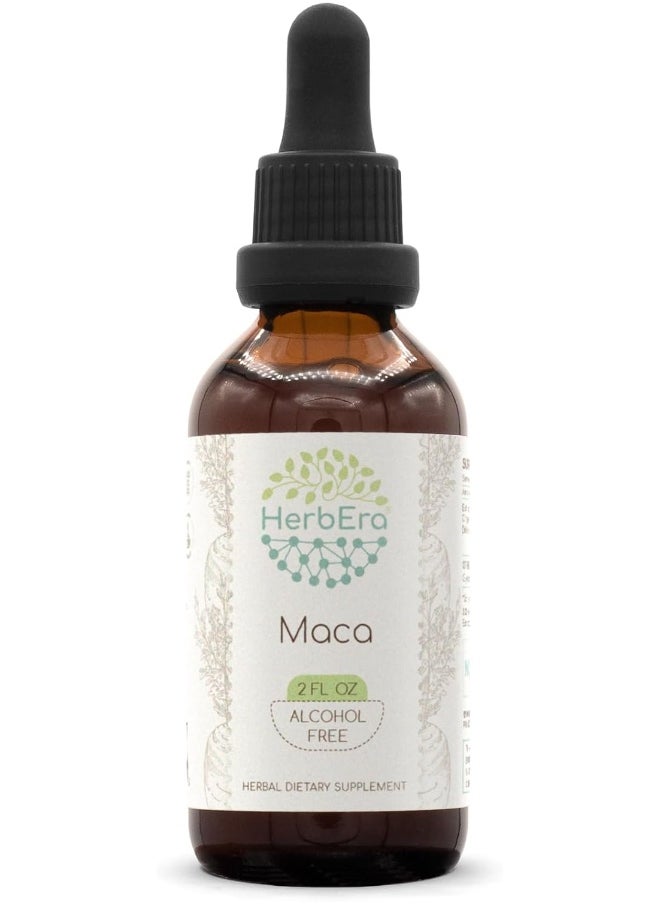 HerbEra Maca B60 Alcohol-Free Herbal Extract Tincture, Super-Concentrated Maca (Lepidium Meyenii) (2 fl oz)