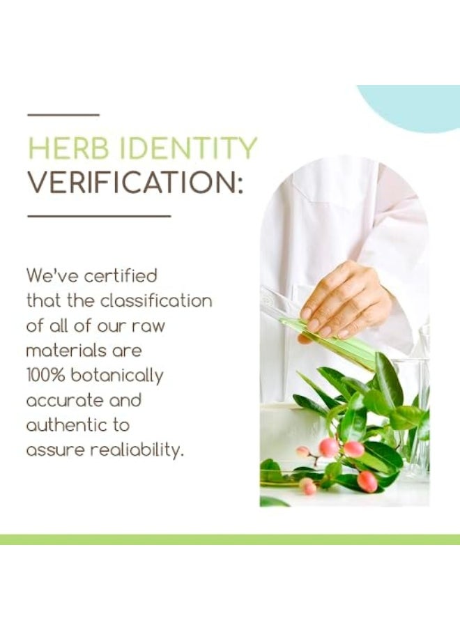 HerbEra Licorice B120 USDA Organic Tincture | Alcohol-Free Extract, High-Potency Herbal Drops | Certified Organic Licorice (Glycyrrhiza Glabra) Dried Root (4 oz)