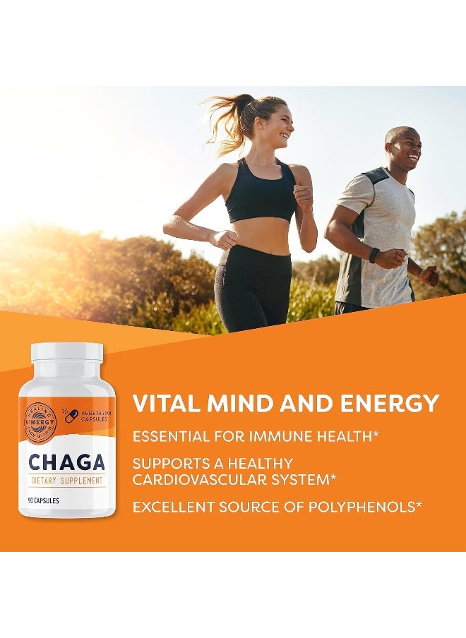 Vimergy Chaga Mushroom Capsules, 30 Servings – Real Mushroom Herbal Supplement for Cardiovascular Support - Kosher, Non-GMO, Gluten-Free, Vegan, Paleo - 100% Pure Chaga with Zero Fillers (90 Count)