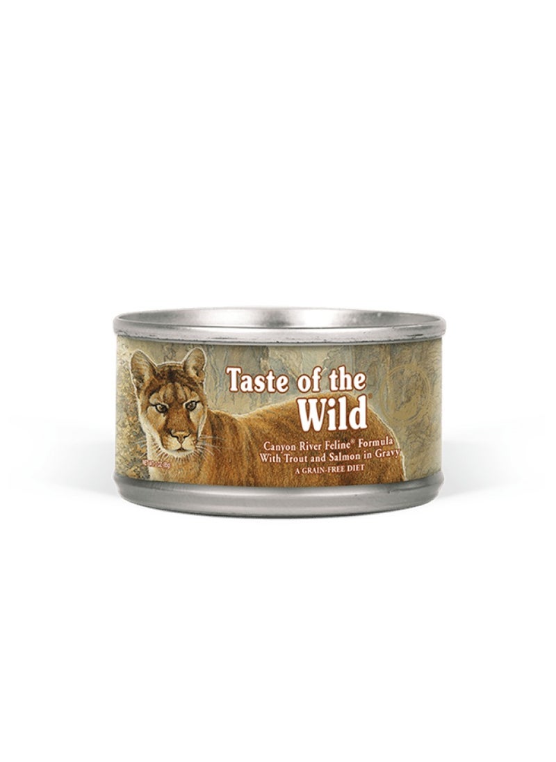 Taste of The Wild Canyon River Feline - BOX - 24*85g