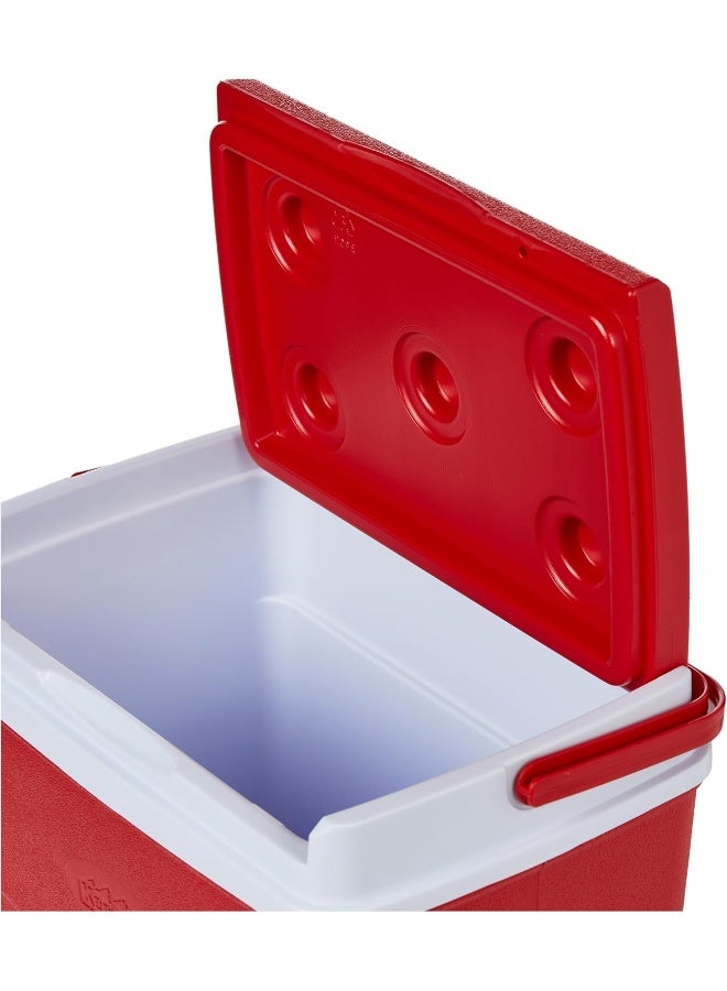 Keep Cold Plastic Picnic Cooler Icebox Lunchbox Multcolour 20.0Liters