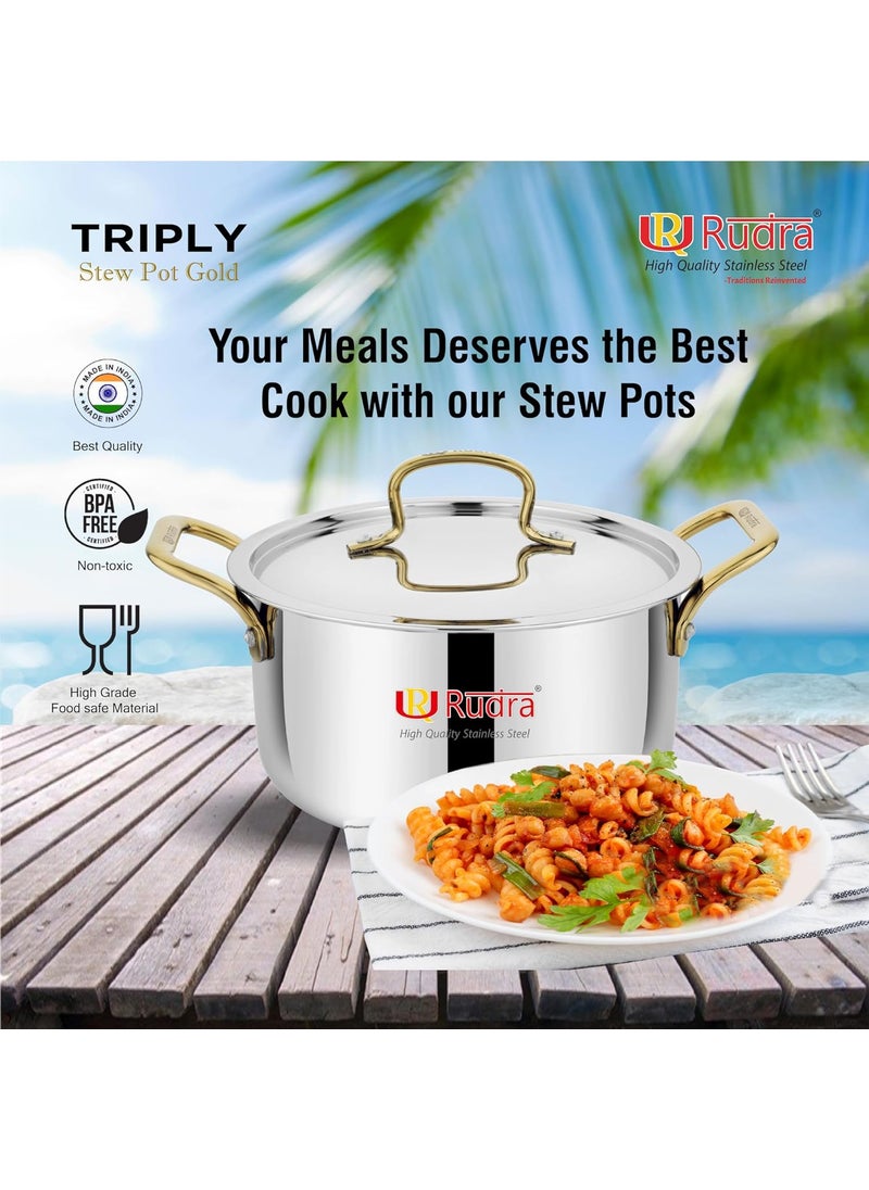 Rudra Smart TriPly SAS SteelAluminiumSteel 3 Layers Stewpot Gold CasseroleBiryani Pot Stock Pot with SS Lid Silver RU 9004 24 cm