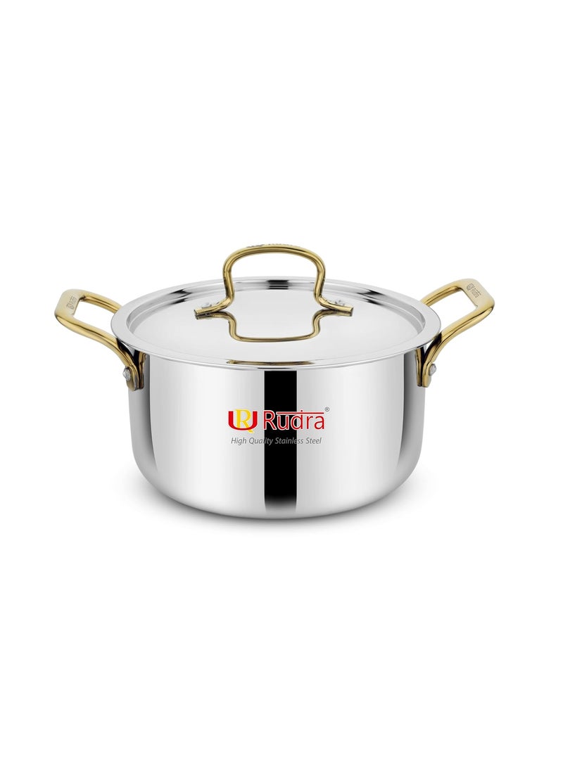 Rudra Smart TriPly SAS SteelAluminiumSteel 3 Layers Stewpot Gold CasseroleBiryani Pot Stock Pot with SS Lid Silver RU 9004 20 cm