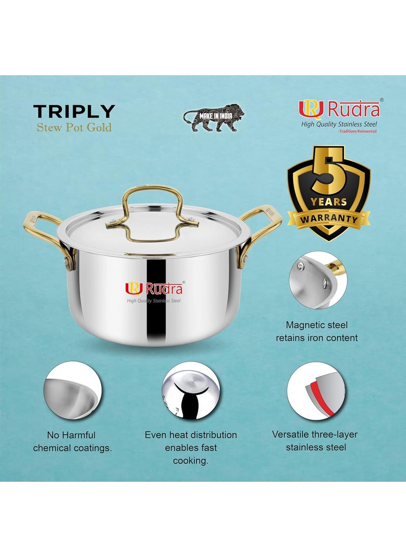 Rudra Smart TriPly SAS SteelAluminiumSteel 3 Layers Stewpot Gold CasseroleBiryani Pot Stock Pot with SS Lid Silver RU 9004 20 cm