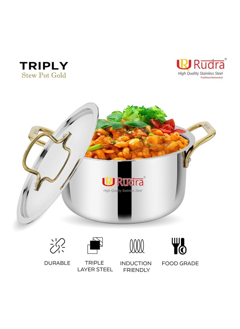 Rudra Smart TriPly SAS SteelAluminiumSteel 3 Layers Stewpot Gold CasseroleBiryani Pot Stock Pot with SS Lid Silver RU 9004 20 cm