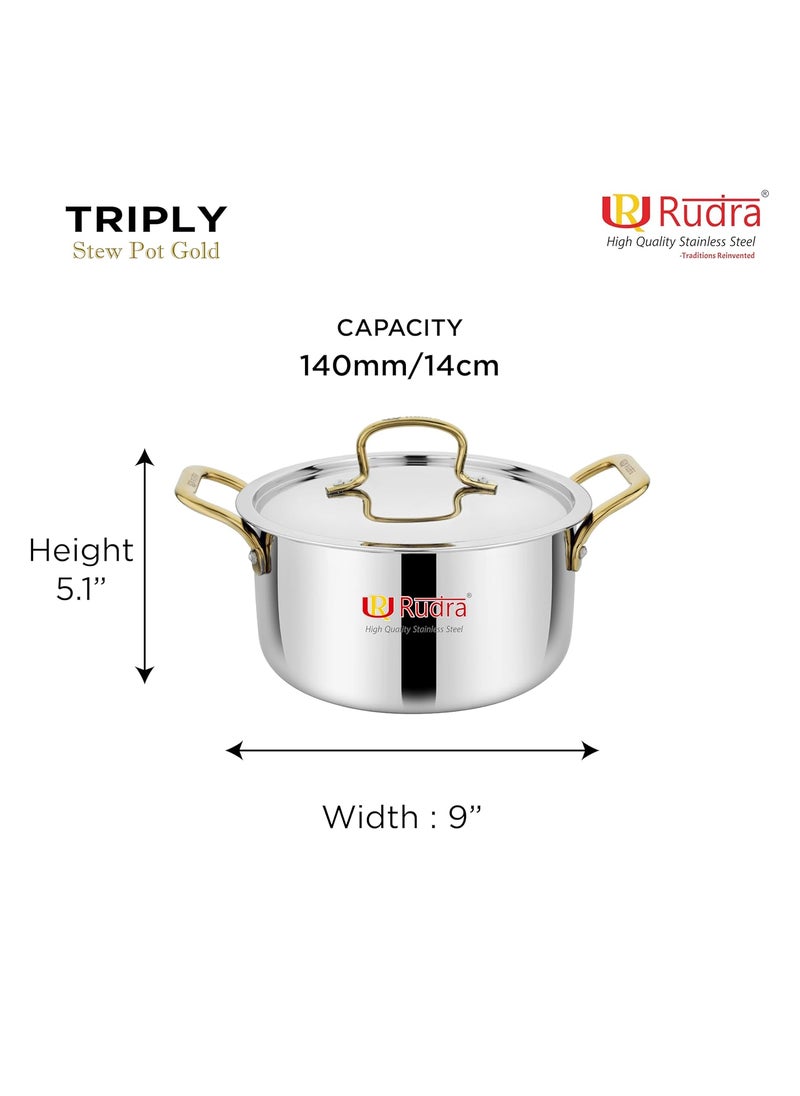 Rudra Smart TriPly SAS SteelAluminiumSteel 3 Layers Stewpot Gold CasseroleBiryani Pot Stock Pot with SS Lid Silver RU 9004 20 cm