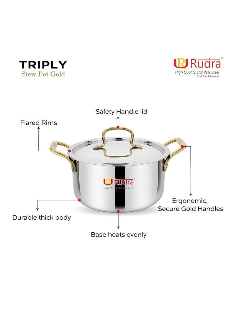 Rudra Smart TriPly SAS SteelAluminiumSteel 3 Layers Stewpot Gold CasseroleBiryani Pot Stock Pot with SS Lid Silver RU 9004 20 cm