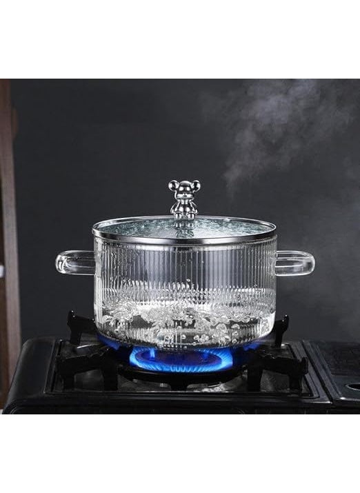 Le Chiic HeatResistant Stovetop Cooking Pot with Lid Clear Glass High Borosilicate Glass Stew Soup Pot