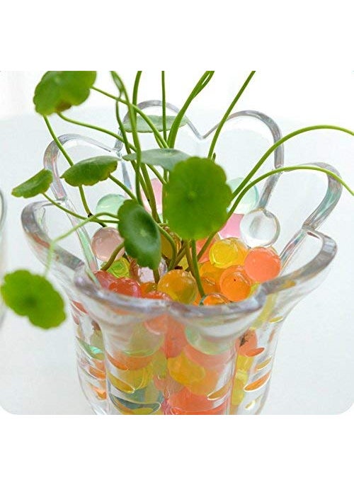 Promote Trader 9 Ounces Water Beads in Bottle Vase Filler