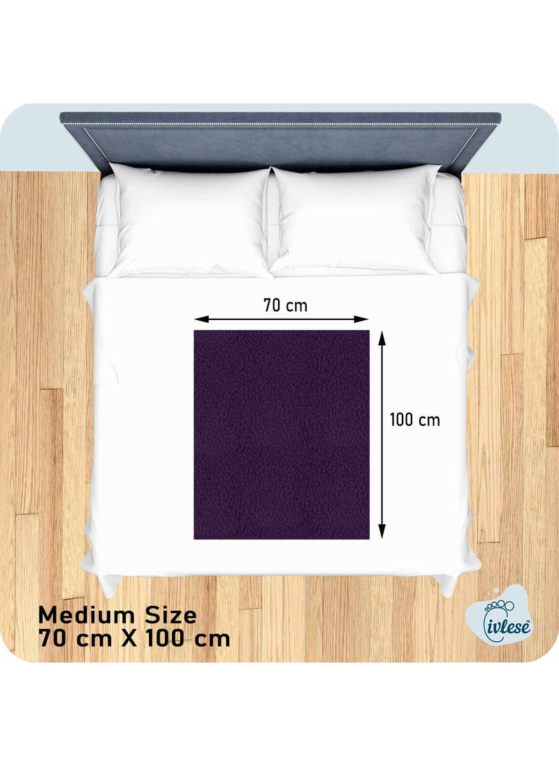 IVLESE Waterproof Washable Baby Care Quick Dry Sheet Medium Size Plum Color Pack of 2
