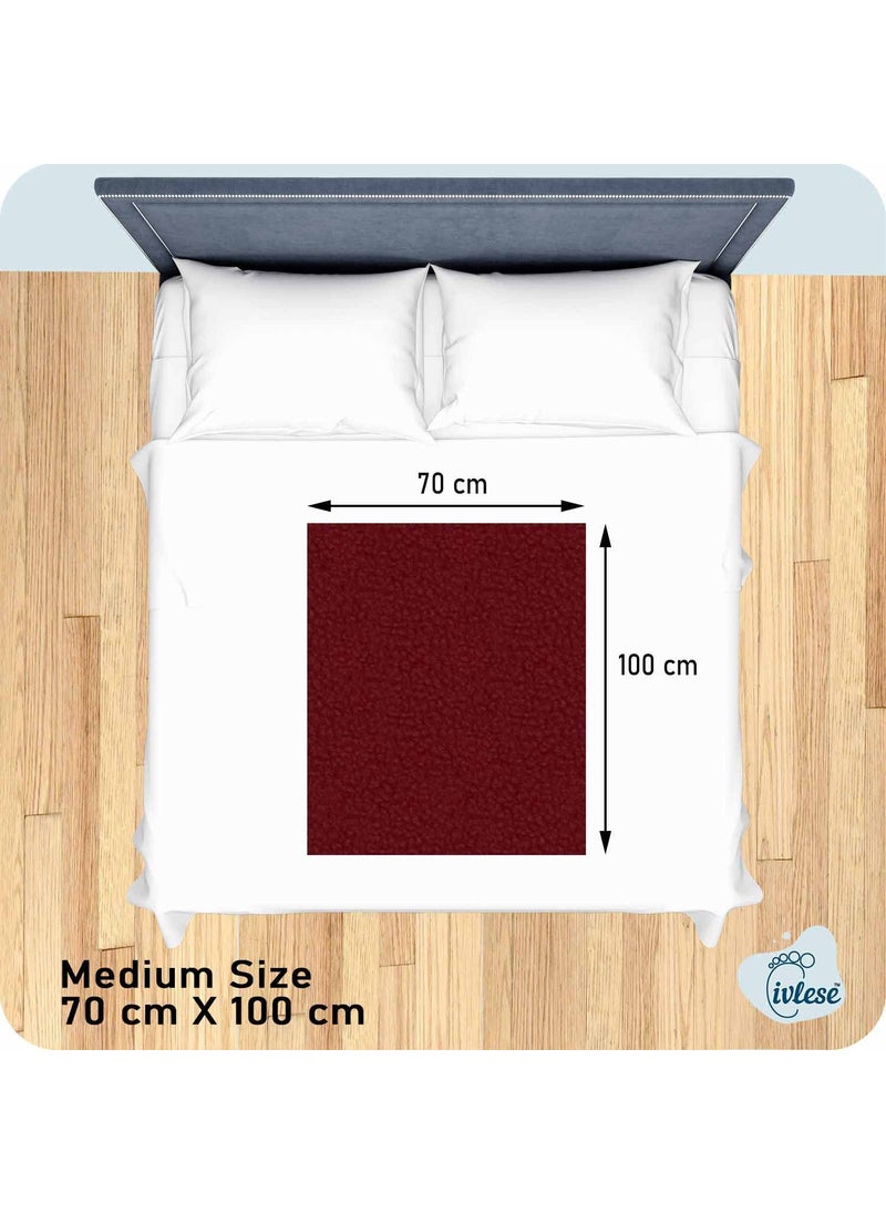 IVLESE Waterproof Washable Baby Care Quick Dry Sheet Medium Size Maroon Color Pack of 2