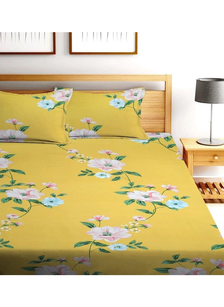 Castiqa Elastic Fitted Supersoft Premium Brushed Cotton 200TC Double Bedsheets Queen Size 60x78 Inch with 2 Pillow Covers Fits Upto Mattress of 8 Inches Yellow