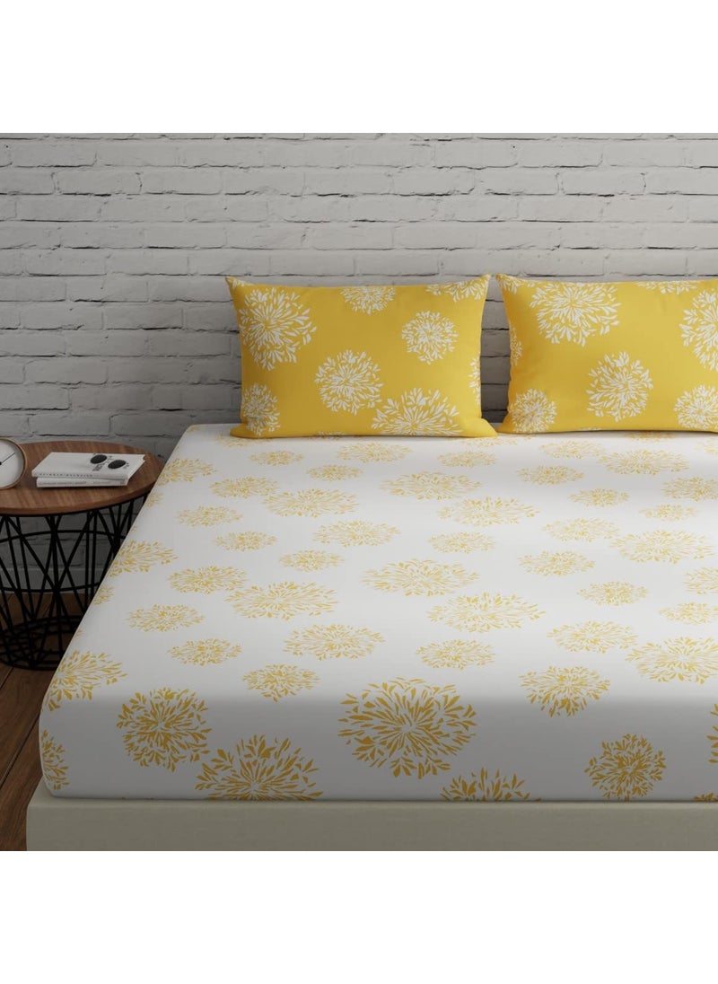 Huesland by Ahmedabad Cotton 144 TC Fitted Bedsheets Queen Size Cotton with 2 Pillow Covers Color 5ft x 65ft White Yellow