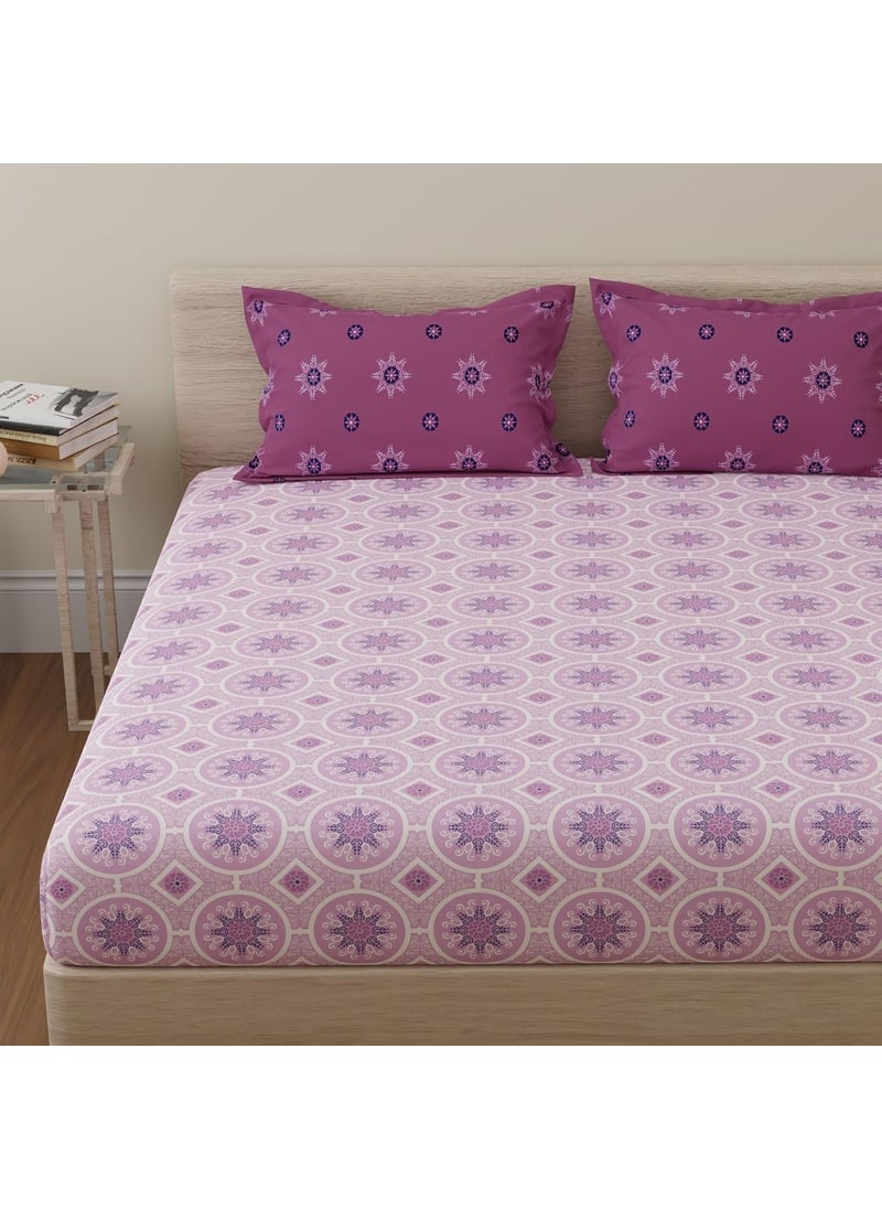 HUESLAND by Ahmedabad Cotton 144 TC Bed Sheet King Size Cotton with 2 Pillow Covers Mandala 108x108 inches Pink Magenta