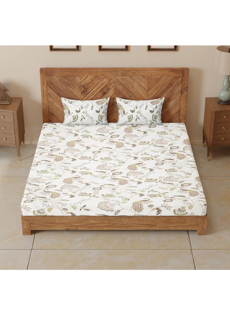 CloudWeave Home Company 100 Pure Cotton Double Bedsheet with 2 Pillow Covers for Double Bed Queen Size Bed 90 x 100 inches bedsheet 18 x 27 inches Cotton Pillow Covers Green Bedsheet