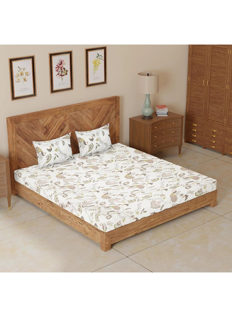 CloudWeave Home Company 100 Pure Cotton Double Bedsheet with 2 Pillow Covers for Double Bed Queen Size Bed 90 x 100 inches bedsheet 18 x 27 inches Cotton Pillow Covers Green Bedsheet