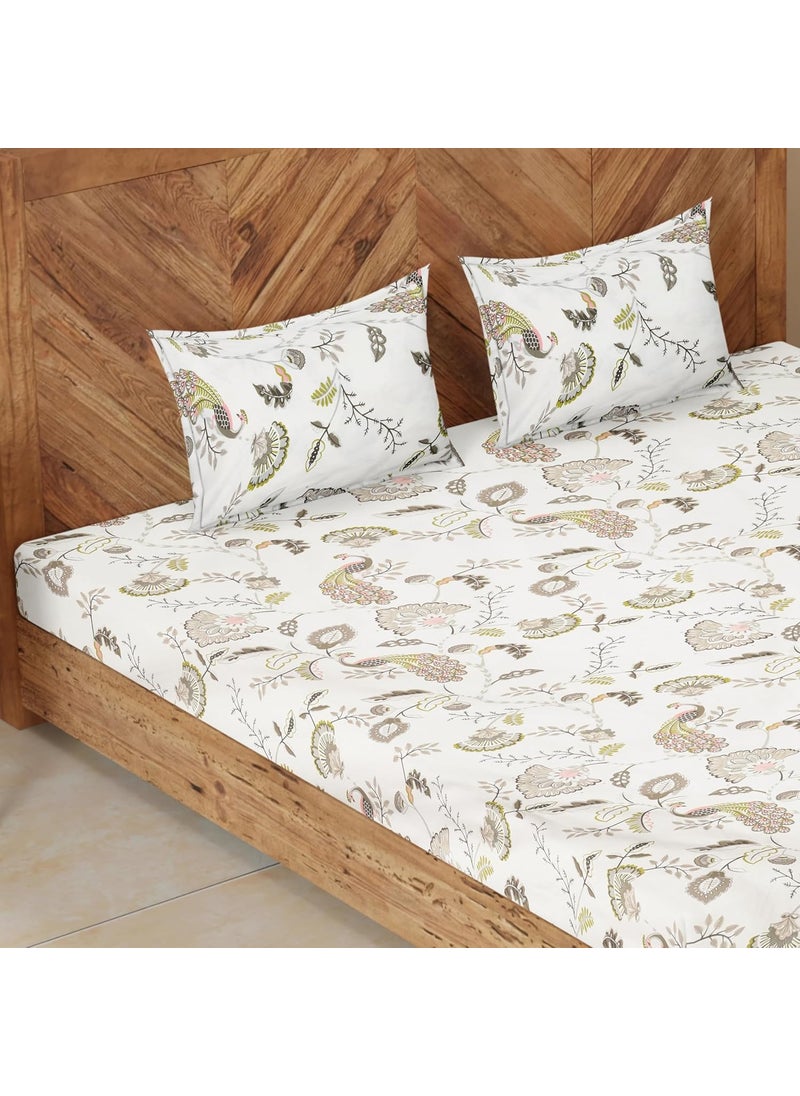 CloudWeave Home Company 100 Pure Cotton Double Bedsheet with 2 Pillow Covers for Double Bed Queen Size Bed 90 x 100 inches bedsheet 18 x 27 inches Cotton Pillow Covers Green Bedsheet