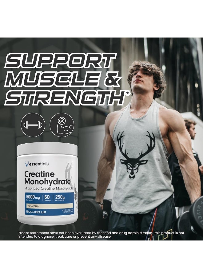Bucked Up Creatine Monohydrate 250 Grams Micronized Powder, Essentials (50 Servings)