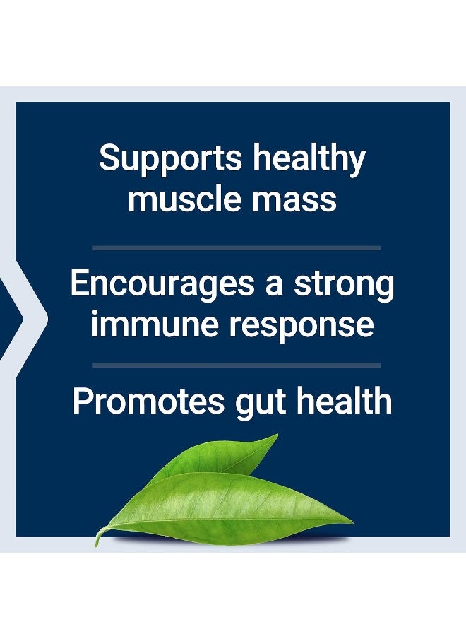 L-Glutamine, 500 Mg L-Glutamine, Amino Acid, Supports Muscle Health And Immune Health, Gluten-Free, Non-Gmo, 100 Vegetarian Capsules