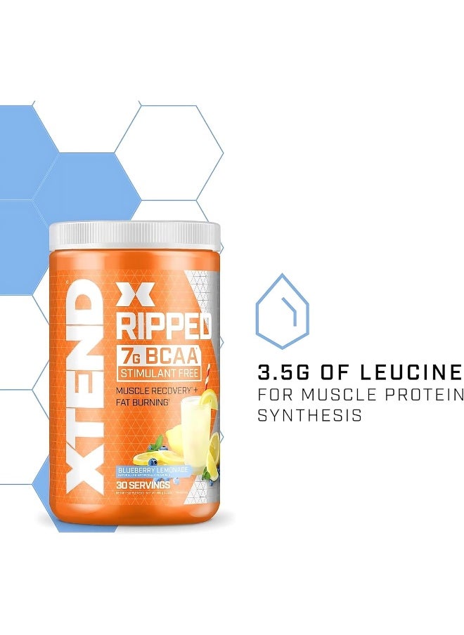 Ripped Bcaa Powder Blueberry Lemonade - Zero Sugar Post Workout Muscle Recovery Drink With Amino Acids - 7G Bcaas For Men & Women - 30 Servings