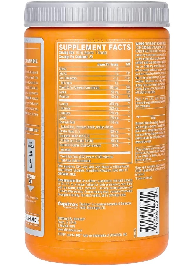 Ripped Bcaa Powder Blueberry Lemonade - Zero Sugar Post Workout Muscle Recovery Drink With Amino Acids - 7G Bcaas For Men & Women - 30 Servings