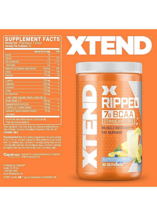 Ripped Bcaa Powder Blueberry Lemonade - Zero Sugar Post Workout Muscle Recovery Drink With Amino Acids - 7G Bcaas For Men & Women - 30 Servings