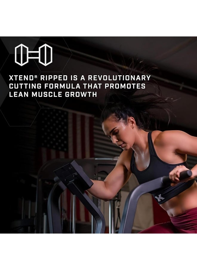 Ripped Bcaa Powder Blueberry Lemonade - Zero Sugar Post Workout Muscle Recovery Drink With Amino Acids - 7G Bcaas For Men & Women - 30 Servings