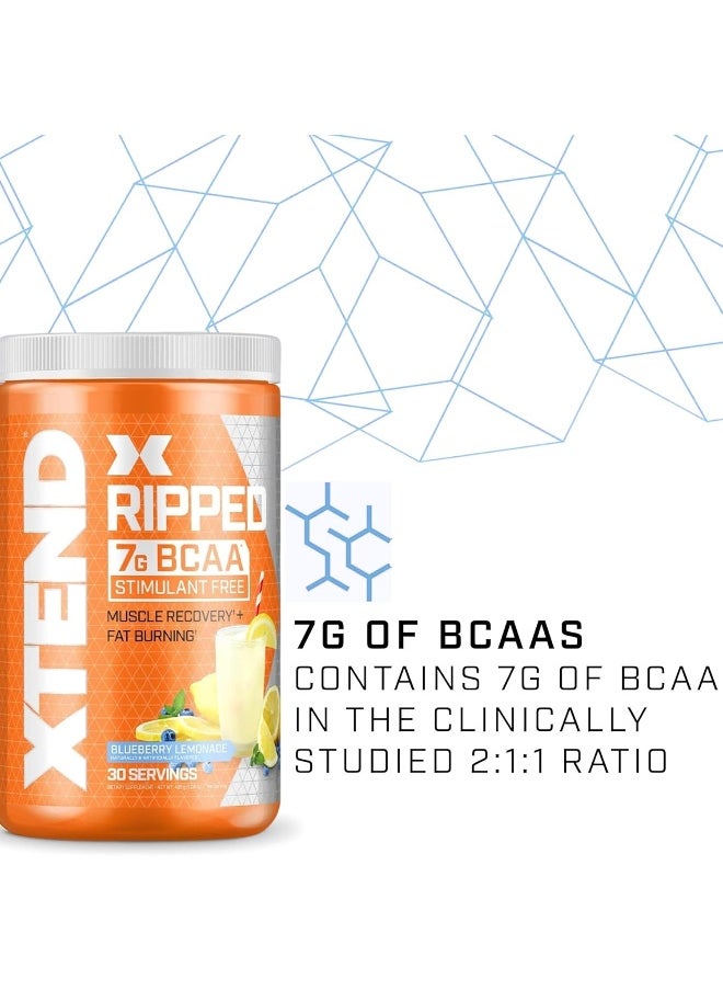 Ripped Bcaa Powder Blueberry Lemonade - Zero Sugar Post Workout Muscle Recovery Drink With Amino Acids - 7G Bcaas For Men & Women - 30 Servings