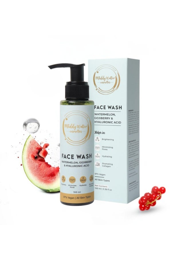 WATER COSMETICS Hyaluronic Acid Face Wash -100ml | Hydrating Cleanser with Watermelon & Goji Berry for Unisex |Reduces Inflammation & Redness |Gentle, Sulphate-Free, Suitable for All Skin Types