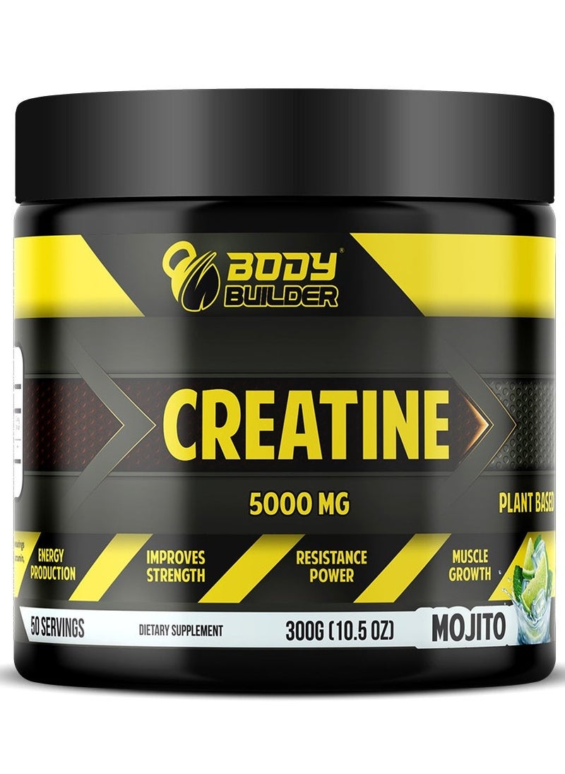 Creatine 5000mg Mojito Flavor 50 Servings 300g
