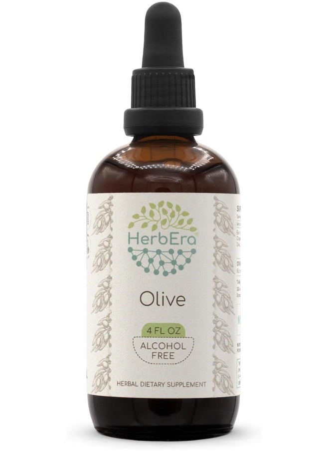 Olive B120 Alcohol-Free Herbal Extract Tincture, Super-Concentrated Organic Olive (Olea Europaea) Dried Leaf 4 Fl Oz