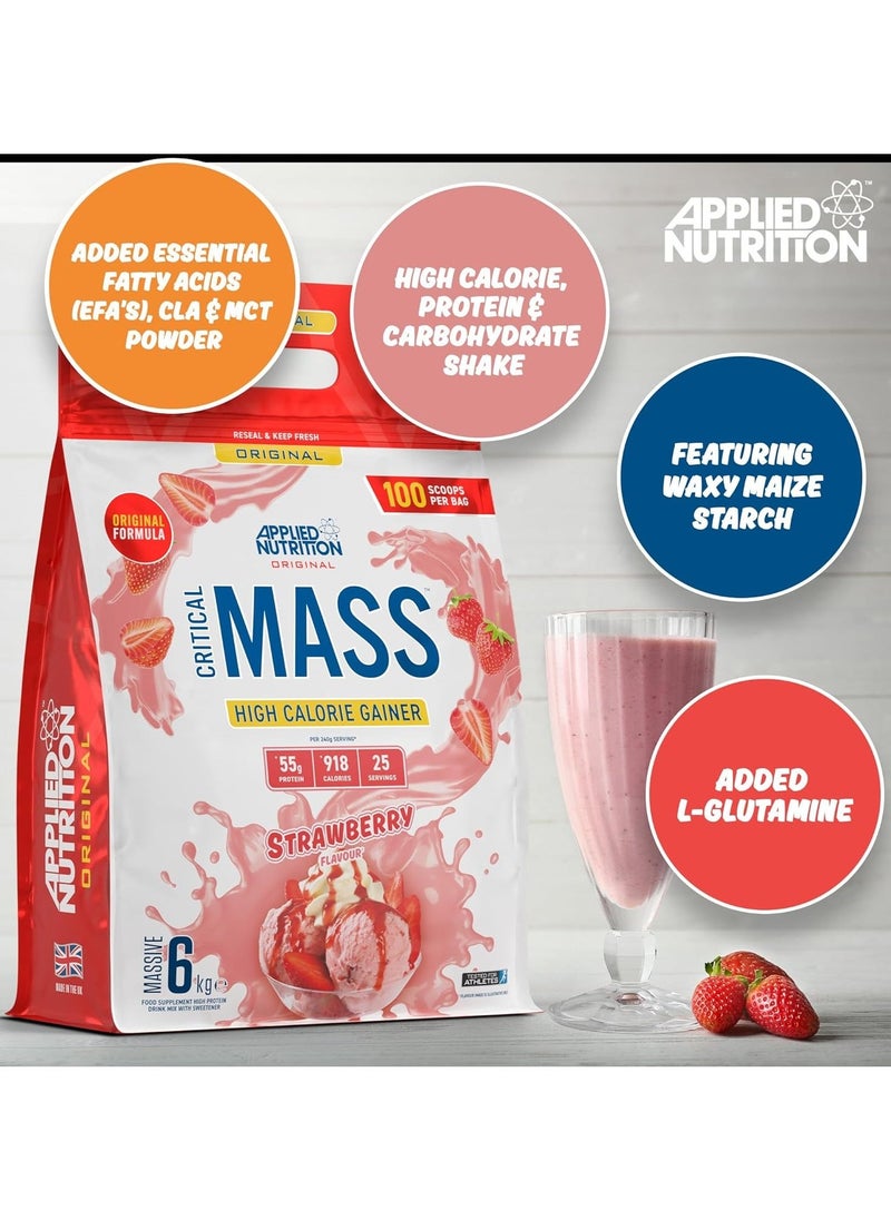 Critical Mass Gainer Chocolate Flavor Massive 6Kg Packaging may vary