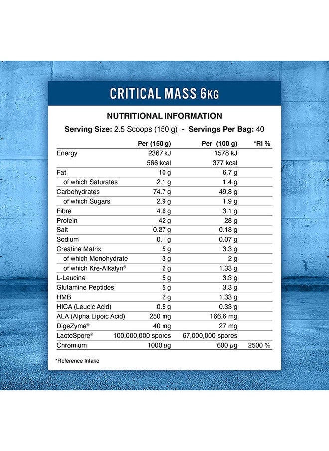 Critical Mass Lean Mass Gainz Chocolate Flavour-6 Kg