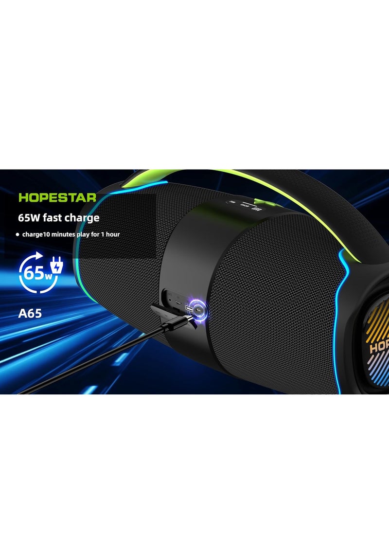 300W Portable Speaker Wireless Bluetooth Audio Big Bass with Handle Microphone