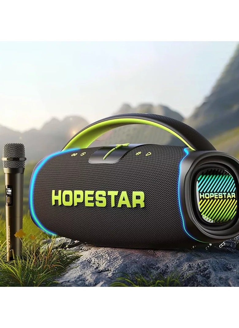 300W Portable Speaker Wireless Bluetooth Audio Big Bass with Handle Microphone