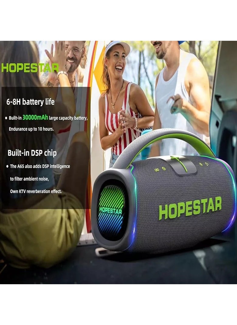 300W Portable Speaker Wireless Bluetooth Audio Big Bass with Handle Microphone