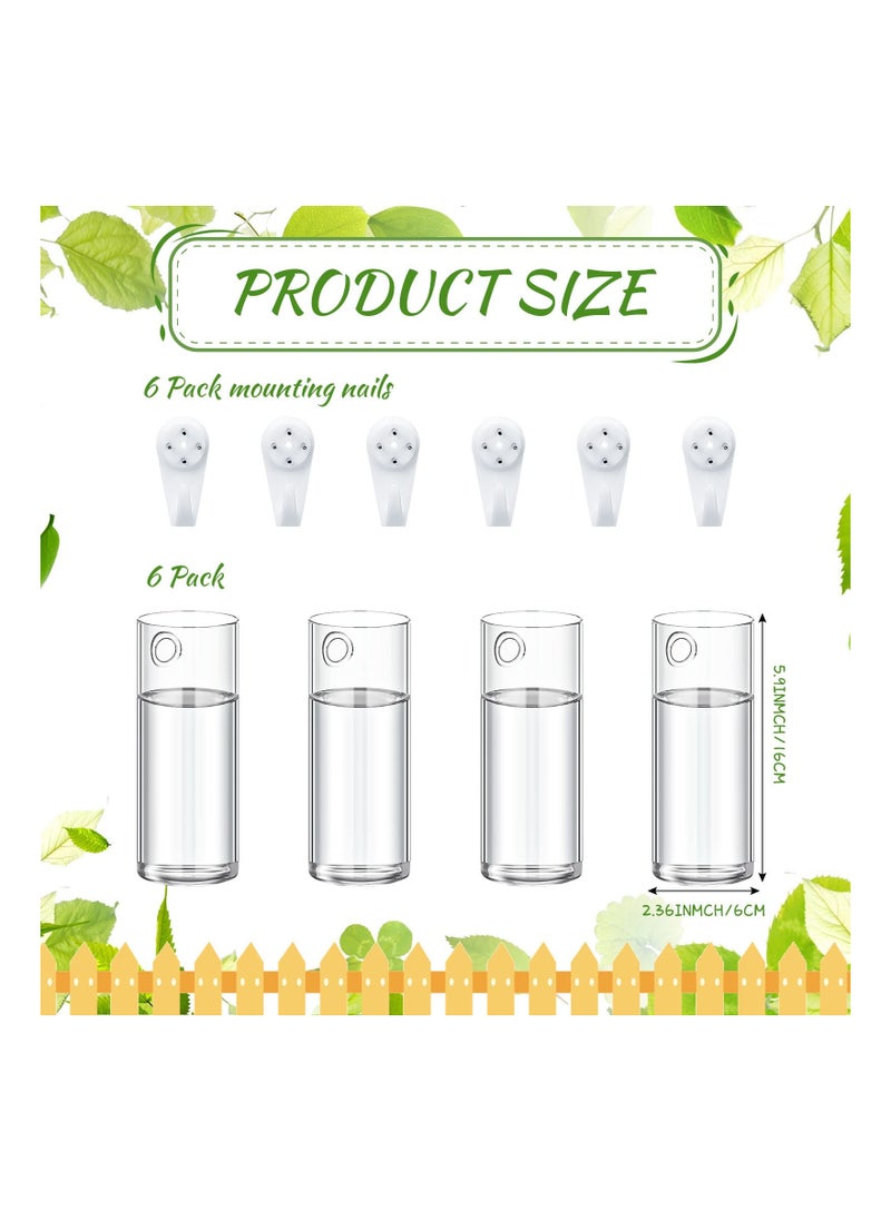 Glass Wall Vase for Plants, 6PCS Wall Hanging Planters, Glass Plant Containers, Indoor Hanging Propagation Planter Container Holder, with Plastic Invisible Hangers, Hanging Glass Terrarium