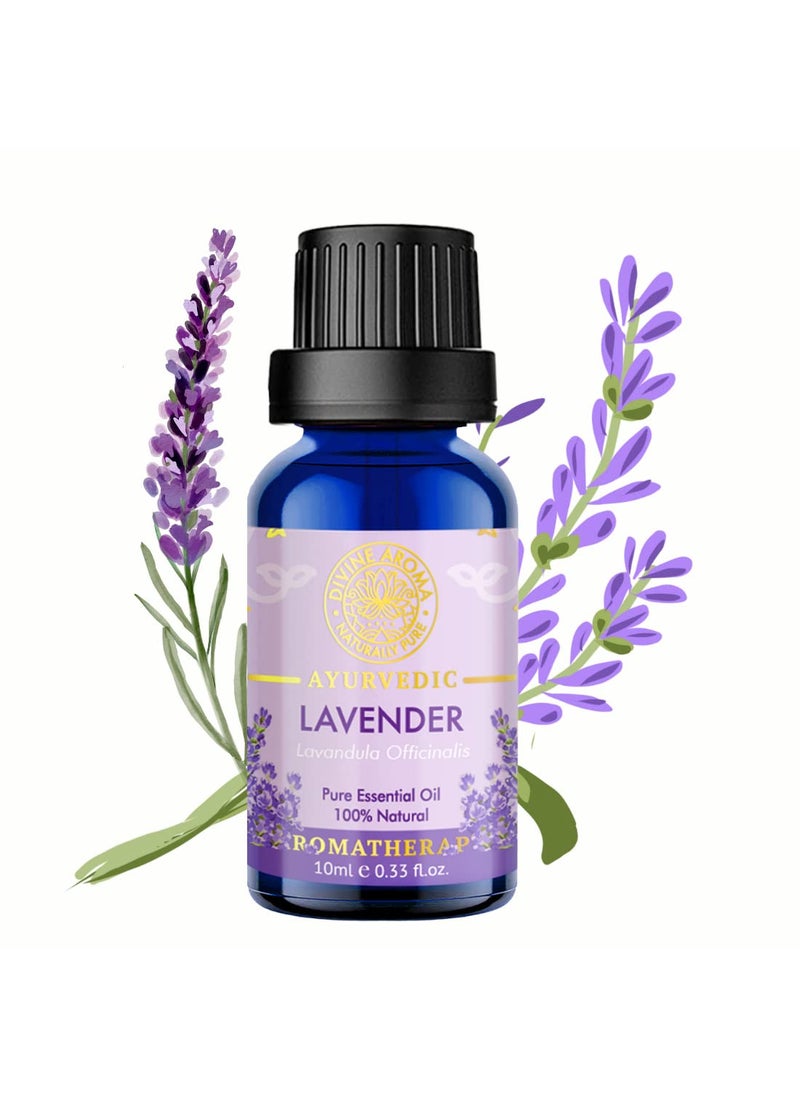 Divine Aroma Lavender Essential Oil 100 PURE Natural Essential Oil 10ml Undiluted Exotic Floral Sweet Aroma For Home Fragrance Aromatherapy Yoga Skin Care Hair Growth Care Relaxation Personal Care Spa Resort Hotels Receptions Home Bedrooms Bath