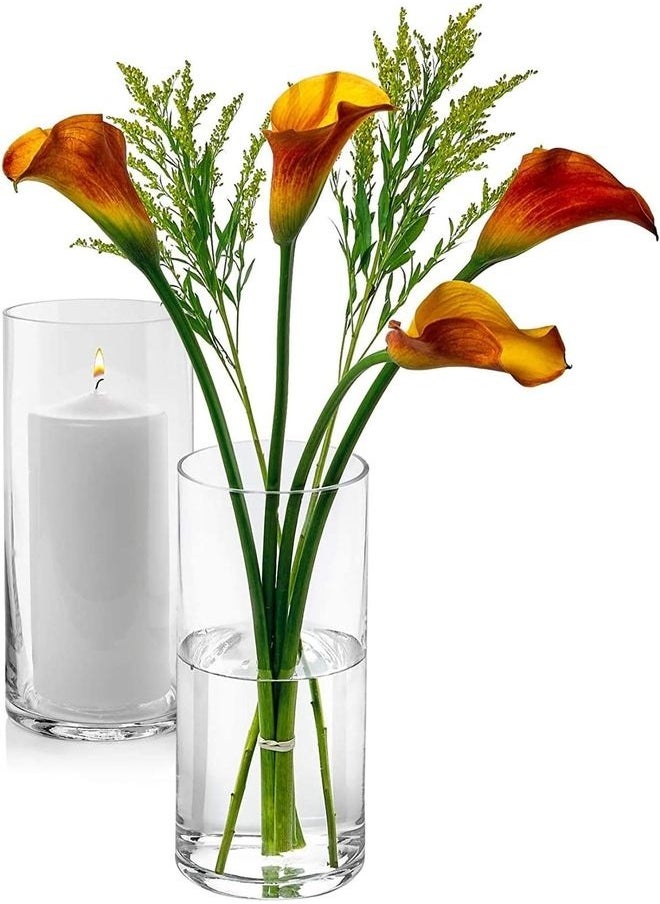 Set of 2 Clear Glass Cylinder Vases – 8 Inch Tall x 5 Inch Wide – Pillar Candle Holders, Floating Candle Vases or Flower Vases – Decorative Centerpieces for Weddings, Events & Home Décor