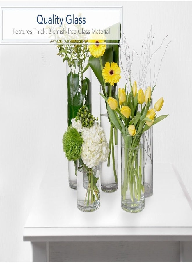 Clear Glass Cylinder Vase – 30cm Tall x 15cm Wide Flower Vase for Centerpieces, Weddings, Events & Home Decor – Large Decorative Table Vase for Floral Arrangements & Candles