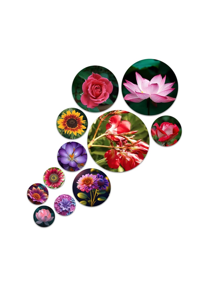 BookYourGIFT Beautiful Flower Wooden Wall Plates For Home DecorPack Of 11