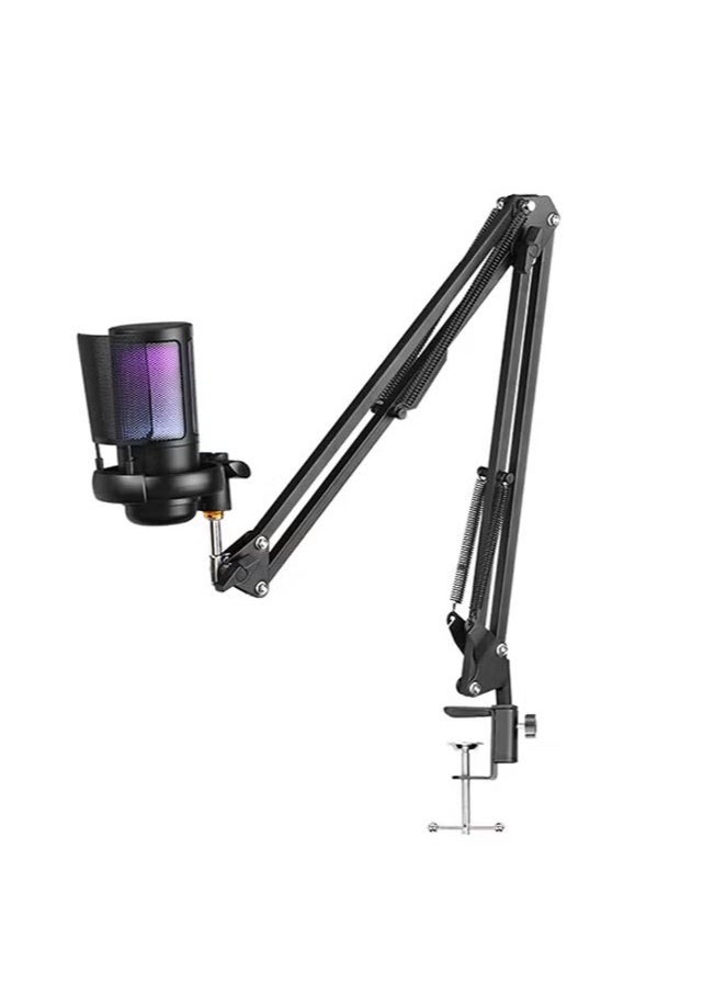 Gaming PC USB Microphone,Podcast Condenser Mic with Boom Arm,Pop Filter, Mute Button for Streaming, Online Chat, RGB Computer Mic for PS4/5 PC Gamer Youtuber