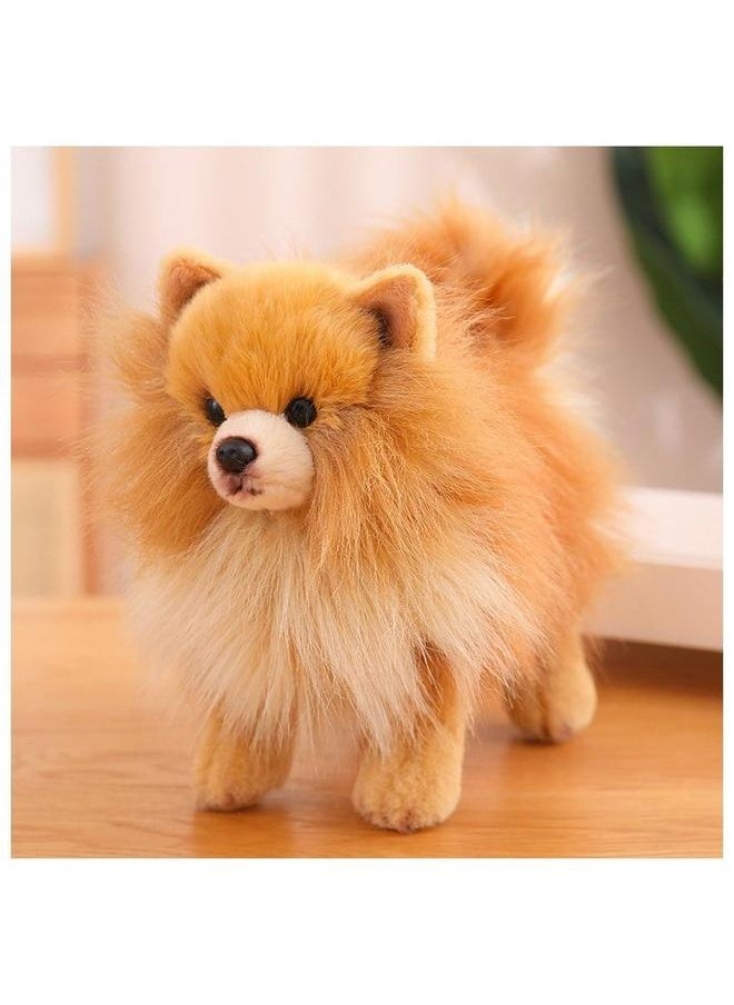Genuine Simulation Pomeranian Standing Plush Animal Doll High-End Cute Pet Children's Toy Birthday Gift