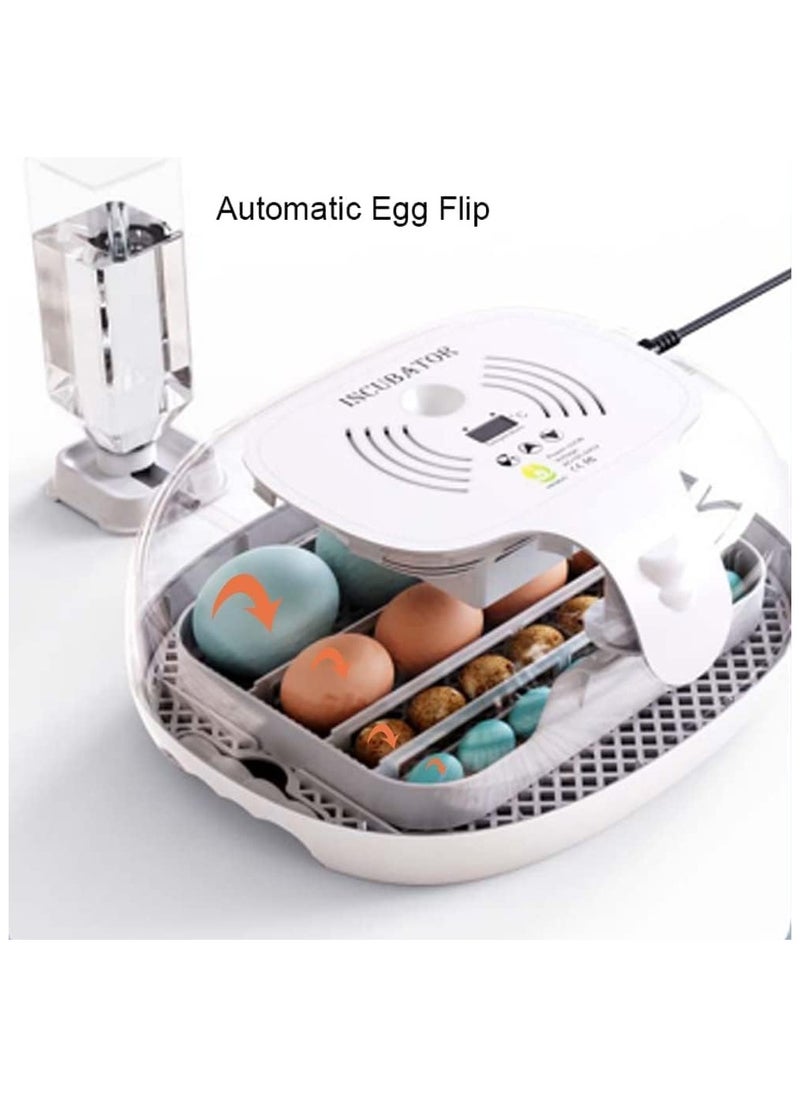 16 egg Capacity Automatic Mini Egg Incubator with Egg Turning and testing Function