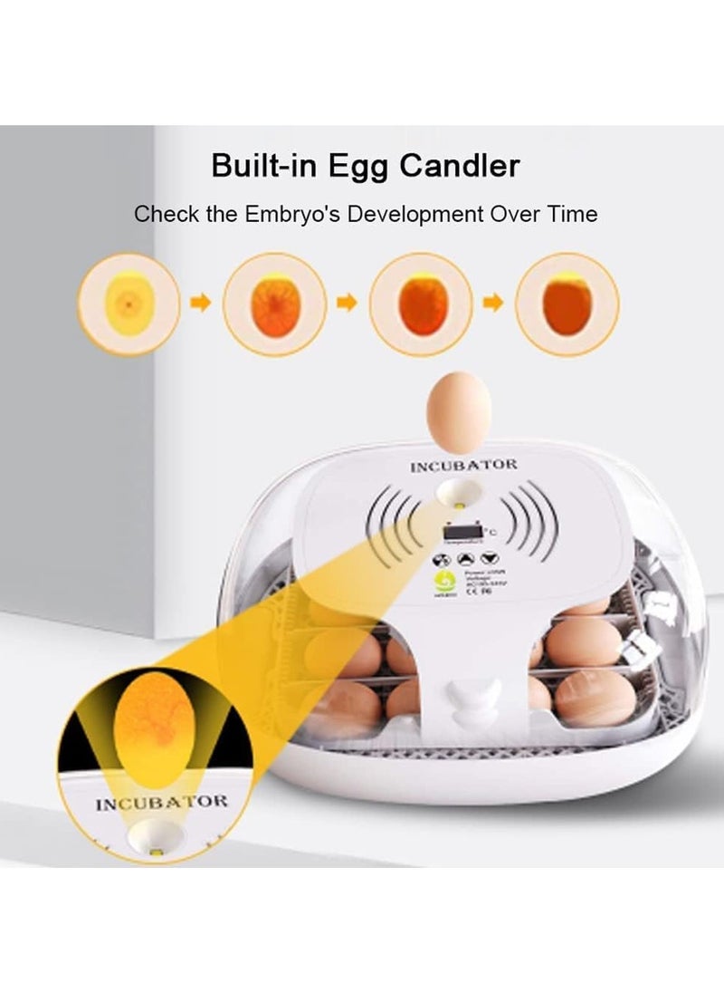 16 egg Capacity Automatic Mini Egg Incubator with Egg Turning and testing Function