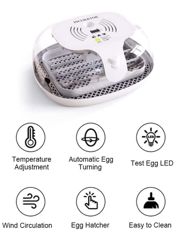 16 egg Capacity Automatic Mini Egg Incubator with Egg Turning and testing Function