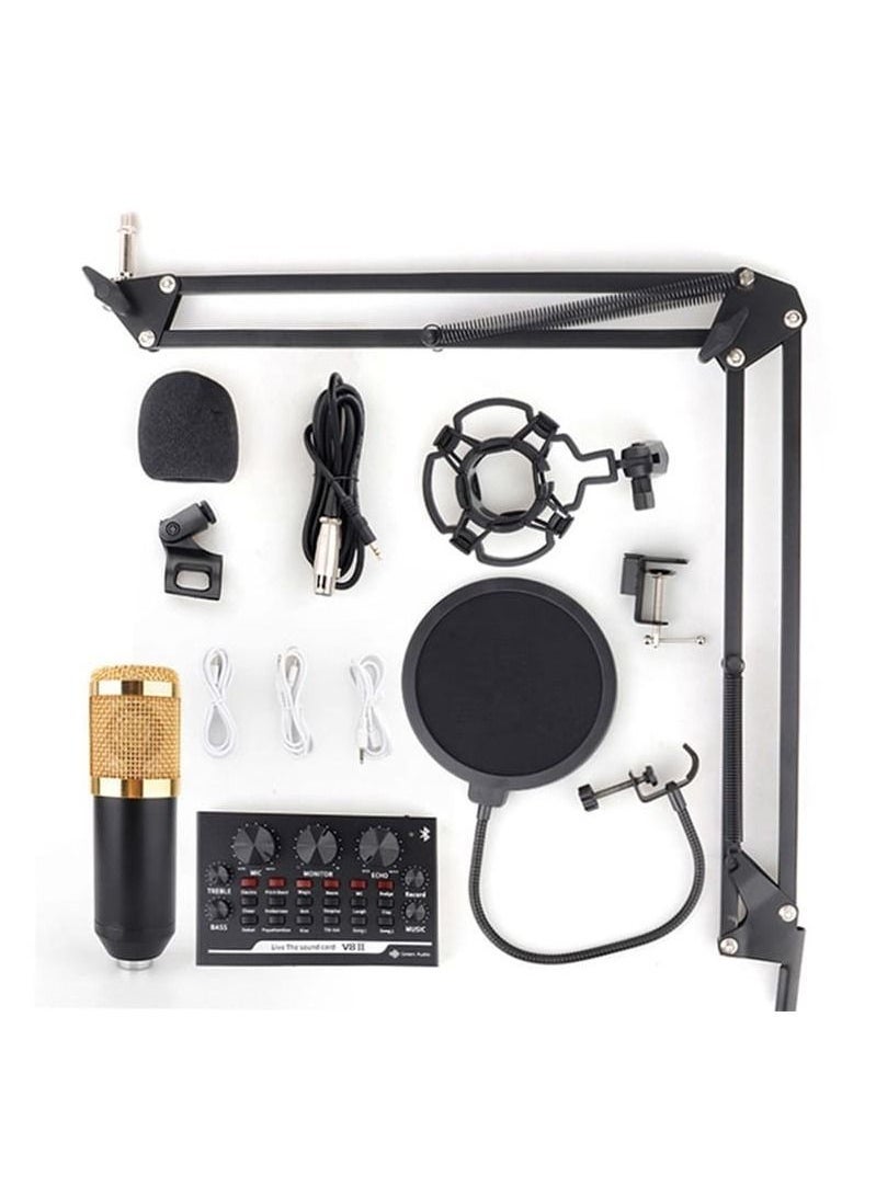Adjustable Recording Condenser Microphone with Kit V8